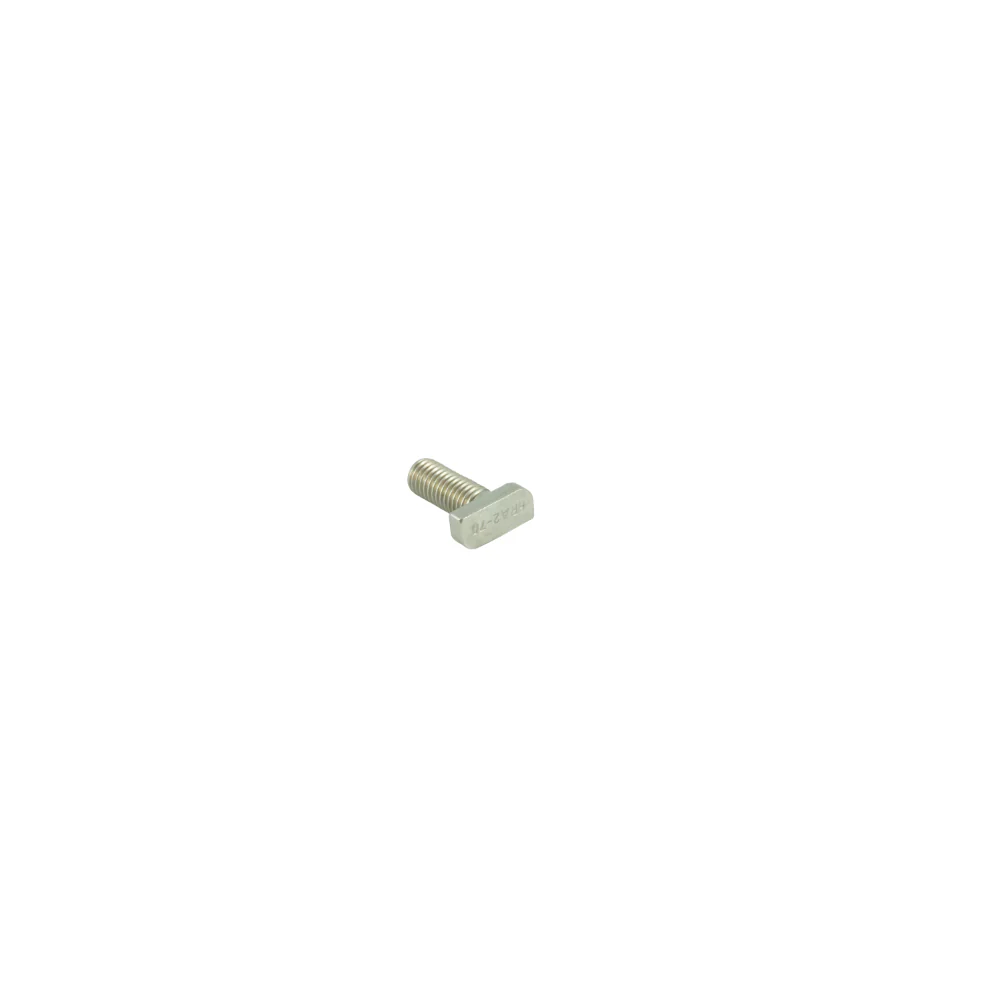 Alumero AS 2.1 Hammerkopfschraube M10x25 (VPE=100)