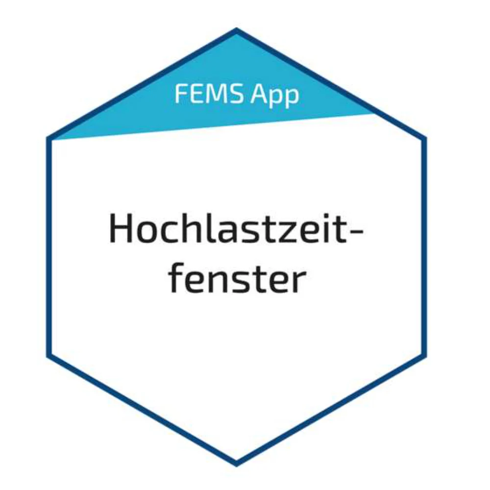 FENECON FEMS App Hochlastzeitfenster